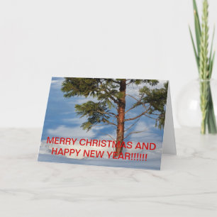 SNOWY PINE TREE Christmas CARD