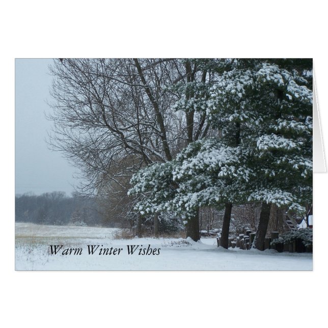 Snowy Pine Tree, Warm Winter Wishes (Front Horizontal)