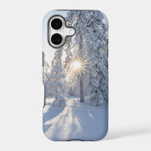 Snowy Pine Tree's