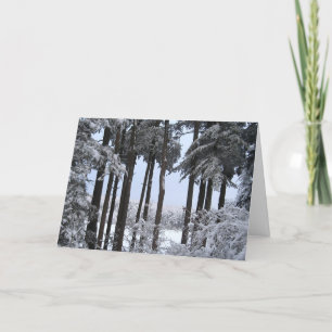 Snowy Pines in Blue Light Holiday Card