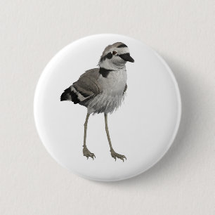 Snowy Plover 6 Cm Round Badge