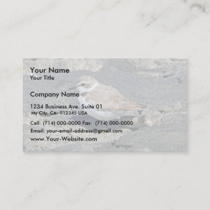 Snowy plover business card