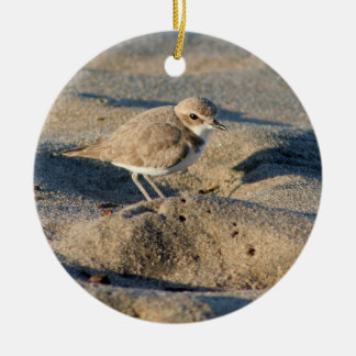 Snowy Plover Ceramic Tree Decoration