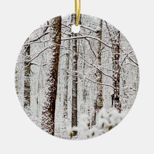 Snowy Pocono Wonderland Ceramic Tree Decoration (Front)