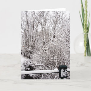 Snowy post card