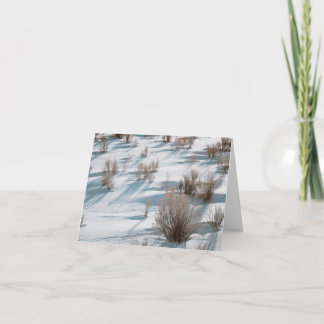 Snowy Rabbitbrush - 4" x 5.6" Notecard