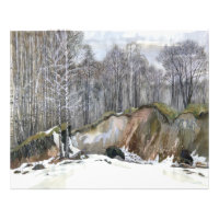 Snowy ravine