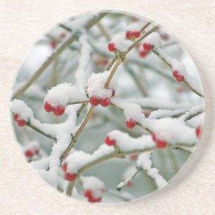 Snowy Red Berries Winter Scene Sandstone Coaster