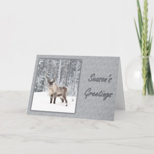 Snowy Reindeer Greetings Holiday Card