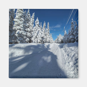 snowy road magnet