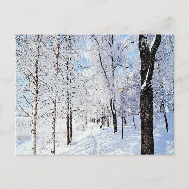 Snowy Road Postcard (Front)