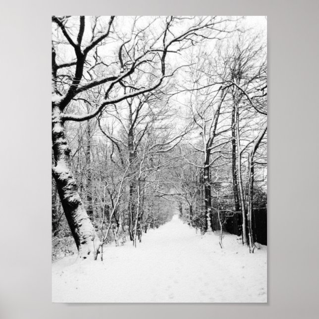 Snowy Road Poster (Front)