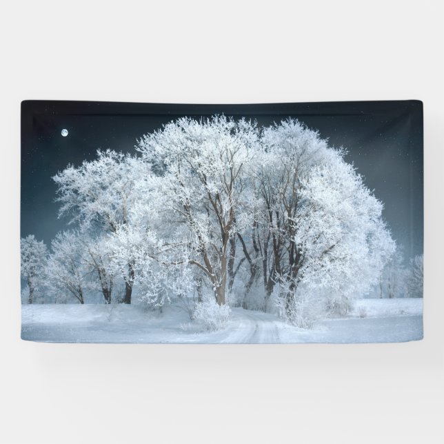 Snowy Road through Frosted Trees Banner (Horizontal)