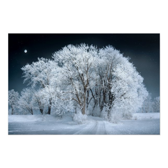Snowy Road through Frosted Trees Poster (Front)