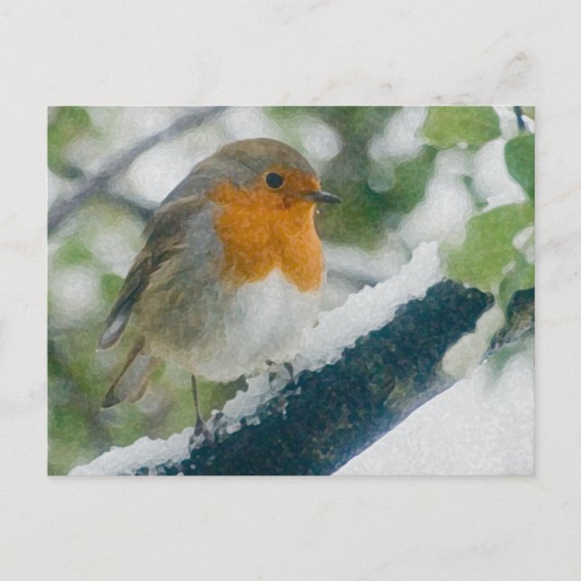 Snowy Robin Postcard (Front)