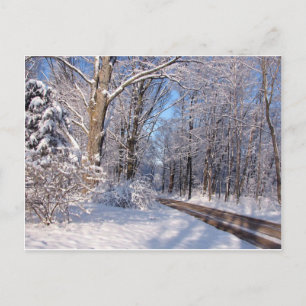 Snowy Rural Michigan Postcard