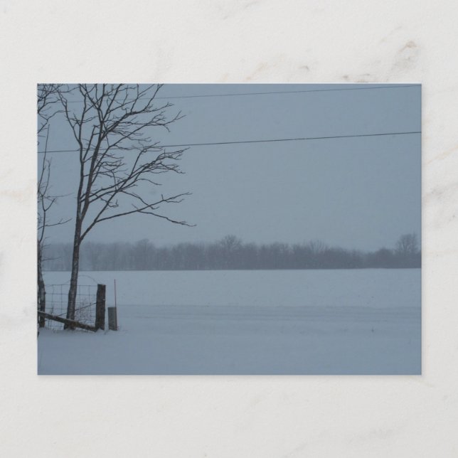 Snowy Scene From Central Indiana Postcard (Front)
