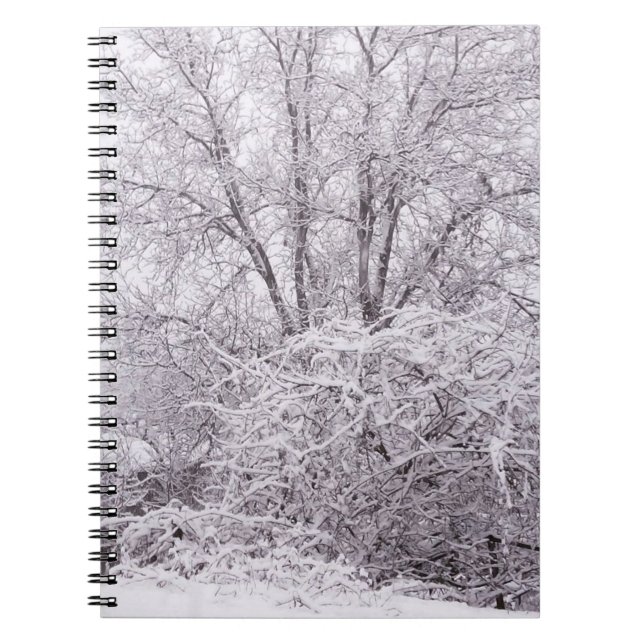 Snowy Scene Photo Notebook (Front)