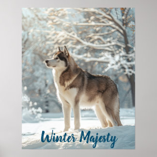 Snowy Sentinel: Alaskan Malamute Majesty Poster
