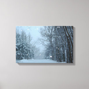 Snowy Street Canvas Print