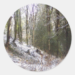 Snowy Sunlit Forest Glade Classic Round Sticker