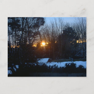 Snowy Sunrise Postcard