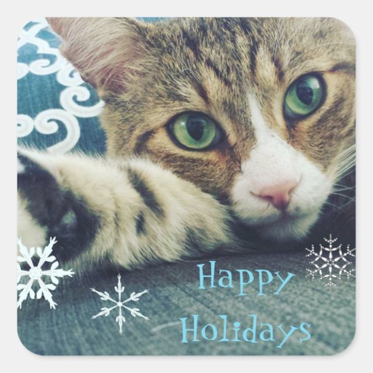 Snowy Tabby Cat Square Sticker