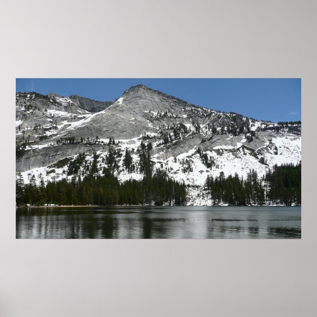 Snowy Tenaya Lake Yosemite National Park Photo Poster (Front)