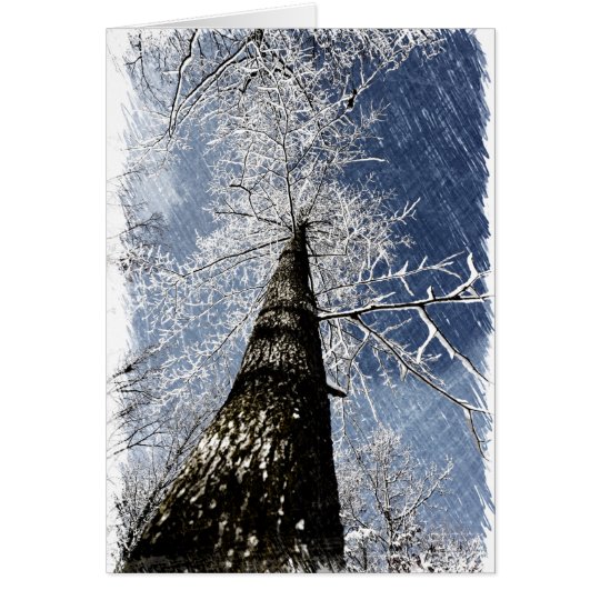 Snowy Tree Card
