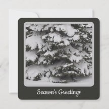 Snowy Tree Flat Holiday Card