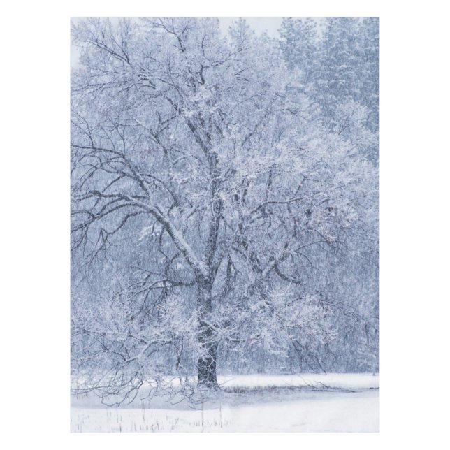 Snowy Tree Winter Frozen Scene Tablecloth (Front)