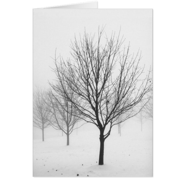 Snowy Trees (Blank) (Front)