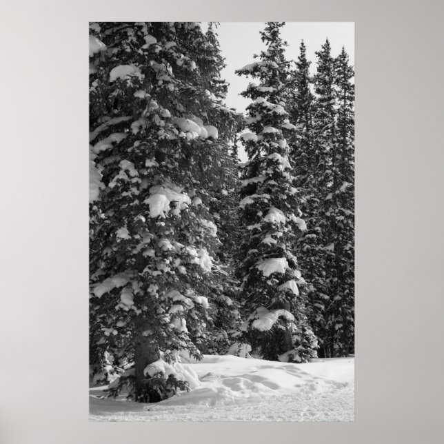 Snowy Trees Christmas Landscape Nature Poster (Front)