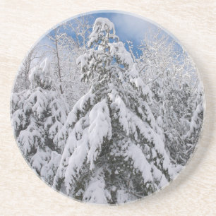 Snowy Trees Coaster