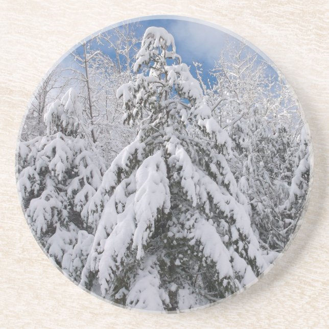 Snowy Trees Coaster (Front)
