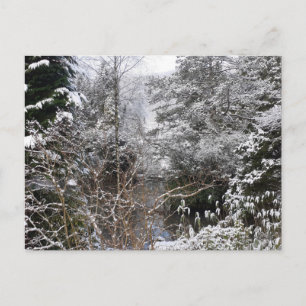 Snowy Trees Flat Postcard