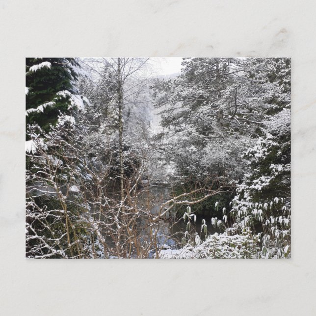 Snowy Trees Flat Postcard (Front)