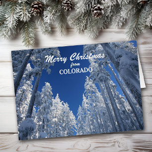 Snowy Trees from Colorado Christmas Card