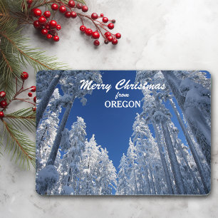 Snowy Trees from Oregon Photo Template