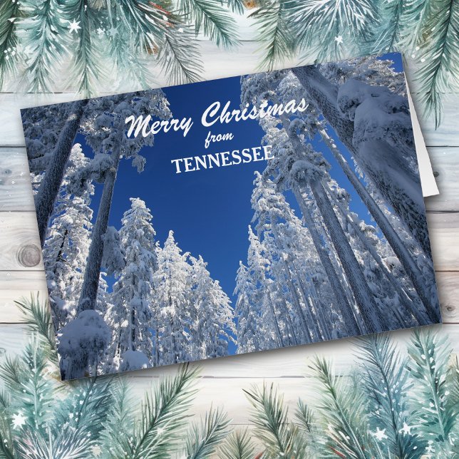 Snowy Trees from Tennessee Christmas Card (Creator Uploaded)