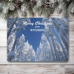 Snowy Trees from Wyoming Photo Template