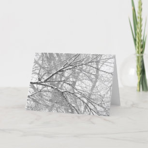 Snowy Trees Holiday Card