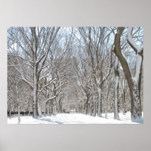 Snowy trees in Central Park Poster
