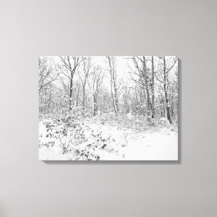 Snowy Trees in the Poconos Canvas Print