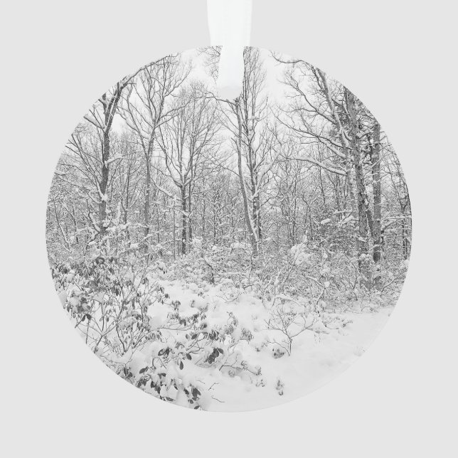 Snowy Trees in the Poconos Ornament (Back)