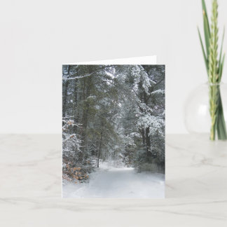Snowy Trees Notecard