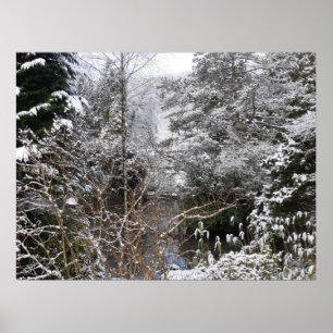 Snowy Trees Poster