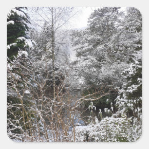 Snowy Trees  Square Sticker