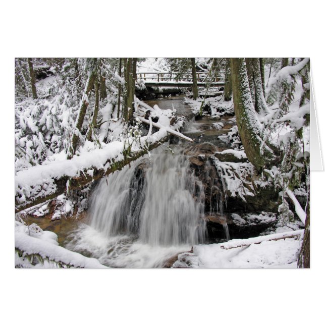 Snowy Waterfall (Front Horizontal)