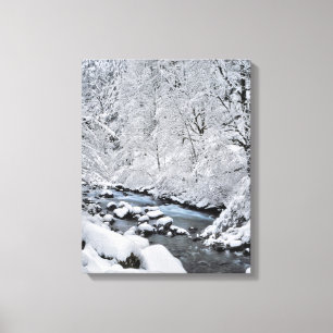 Snowy white creek scenic, Oregon Canvas Print